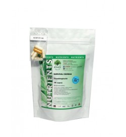 Survival napi vitamincsomag (G&G)
